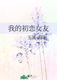 《我的初恋女友》