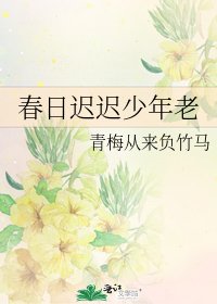 《春日迟迟少年老》