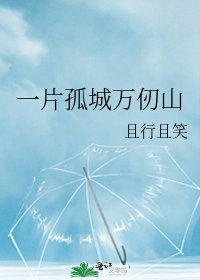 《一片孤城万仞山》