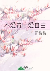 《不爱青山爱自由》