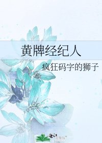《黄牌经纪人》