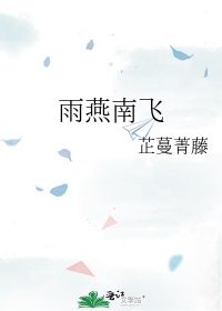 《雨燕南飞》