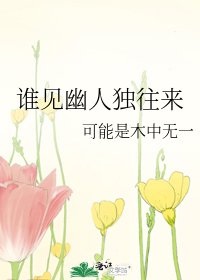 《谁见幽人独往来》