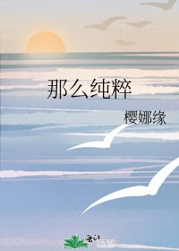 《那么纯粹》