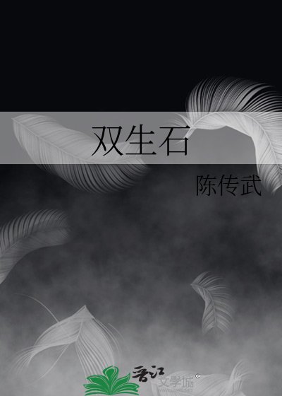 《双生石》