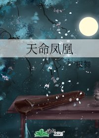 《天命凤凰》