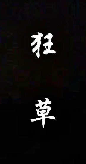 《狂草》