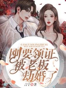 《刚要领证被老板劫婚了》
