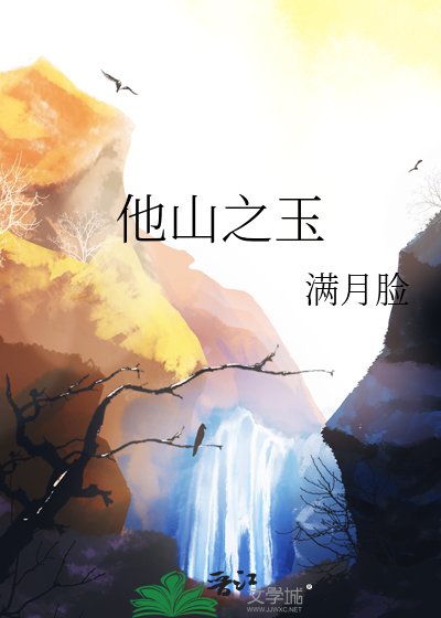 他山之玉