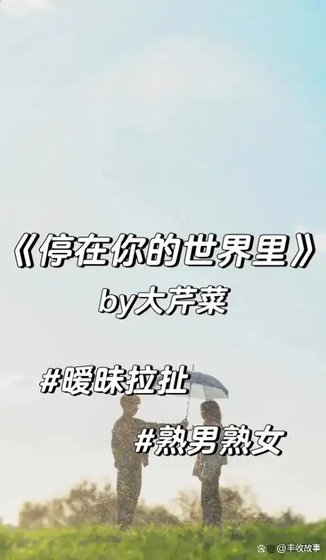 停在你的世界里