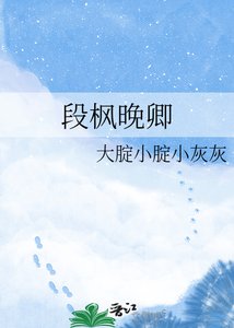《段枫晚卿》