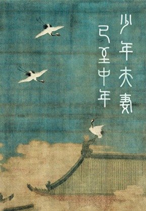 少年夫妻已至中年