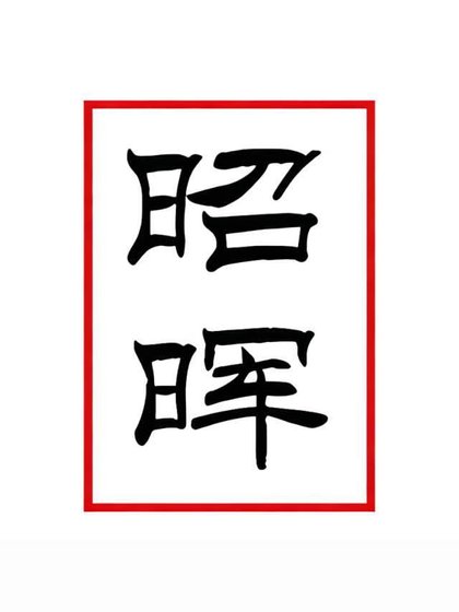 《昭昭向晖》