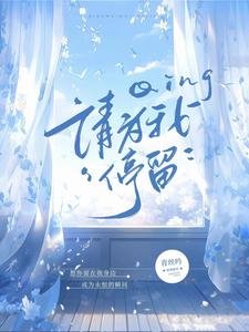《请为我停留》