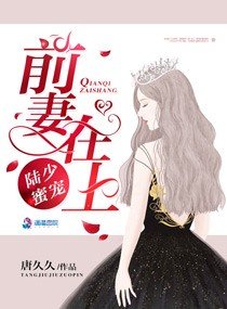《陆太太好久不见/陆少蜜宠:前妻在上》