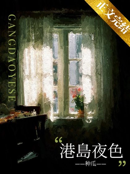 《港岛夜色》