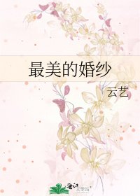 《最美的婚纱》