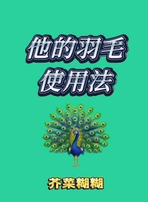 《他的羽毛使用法》