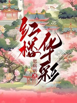 《红楼华彩》