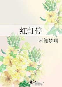 《红灯停》