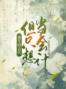 《重生回古代但只想当会计》