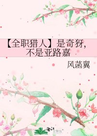 《【全职猎人】是奇犽,不是亚路嘉》