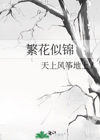 《繁花似锦》