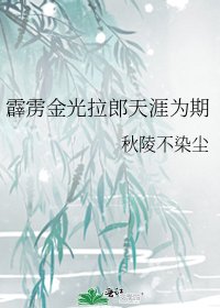 《霹雳金光拉郎天涯为期》