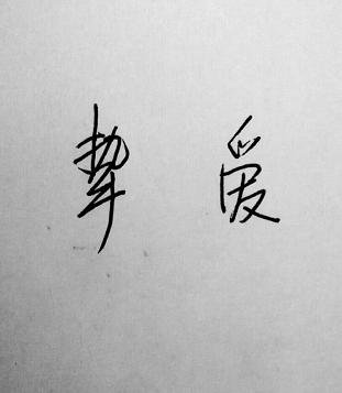 《挚爱/是徒劳》