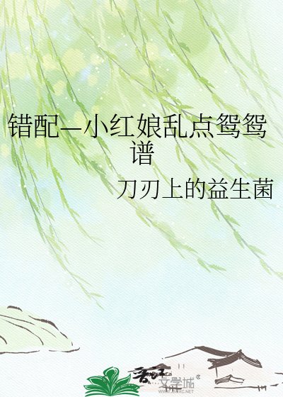 《错配—小红娘乱点鸳鸳谱》