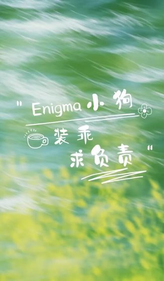 Enigma装乖小狗求负责