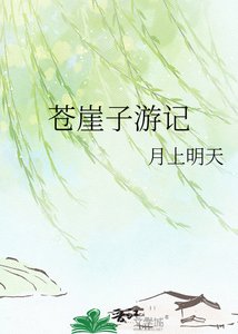 《苍崖子游记》