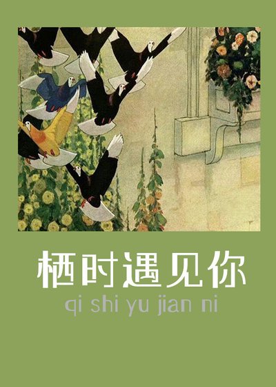 《栖时遇见你》