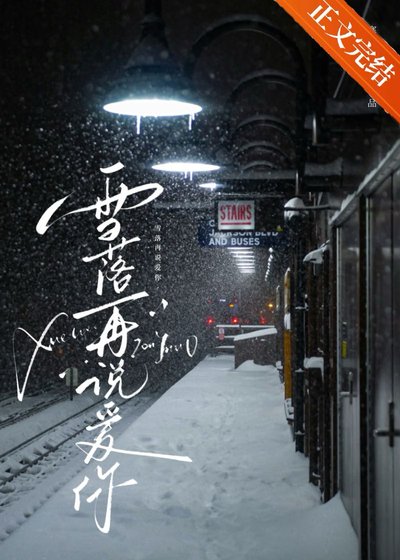 《雪落再说爱你》