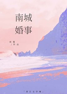《南城婚事》