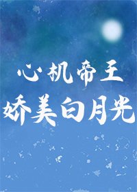《锦宫月华/心机帝王的娇美白月光》