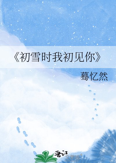 初雪时我初见你