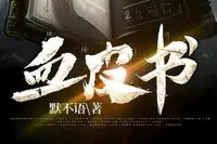 《血皮书》