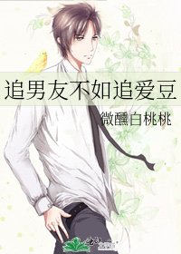 《追男友不如追爱豆》