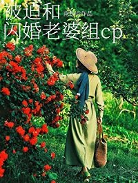 被迫和闪婚老婆组CP