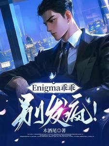 《Enigma乖乖,别发疯!》