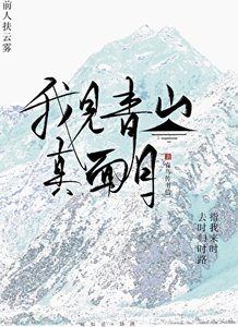 《我见青山真面目》