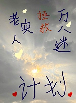 《老实人拯救万人迷美人计划》