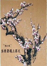 《(BL/陆小凤同人)当原著遇上苏文》