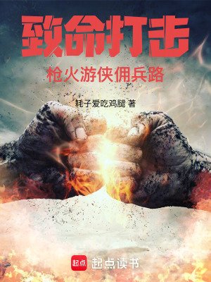 《致命打击:枪火游侠佣兵路》