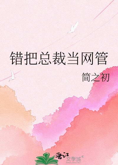 《错把总裁当网管》