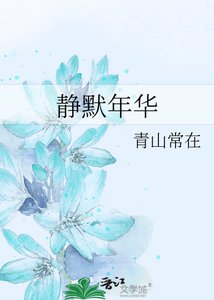 《静默年华》