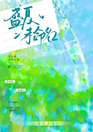 盛夏未命名