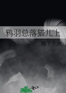 《鸦羽总落猫儿上》