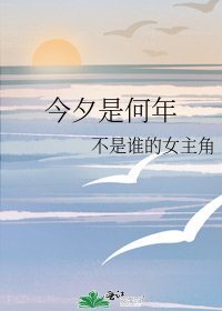 《今夕是何年》